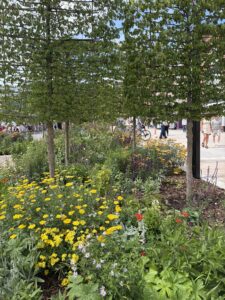 Gardens